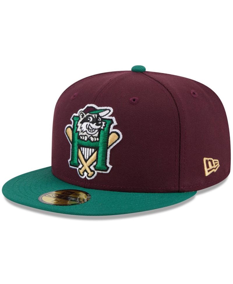 Men's Maroon Hudson Valley Renegades Theme Nights 59FIFTY Fitted Hat