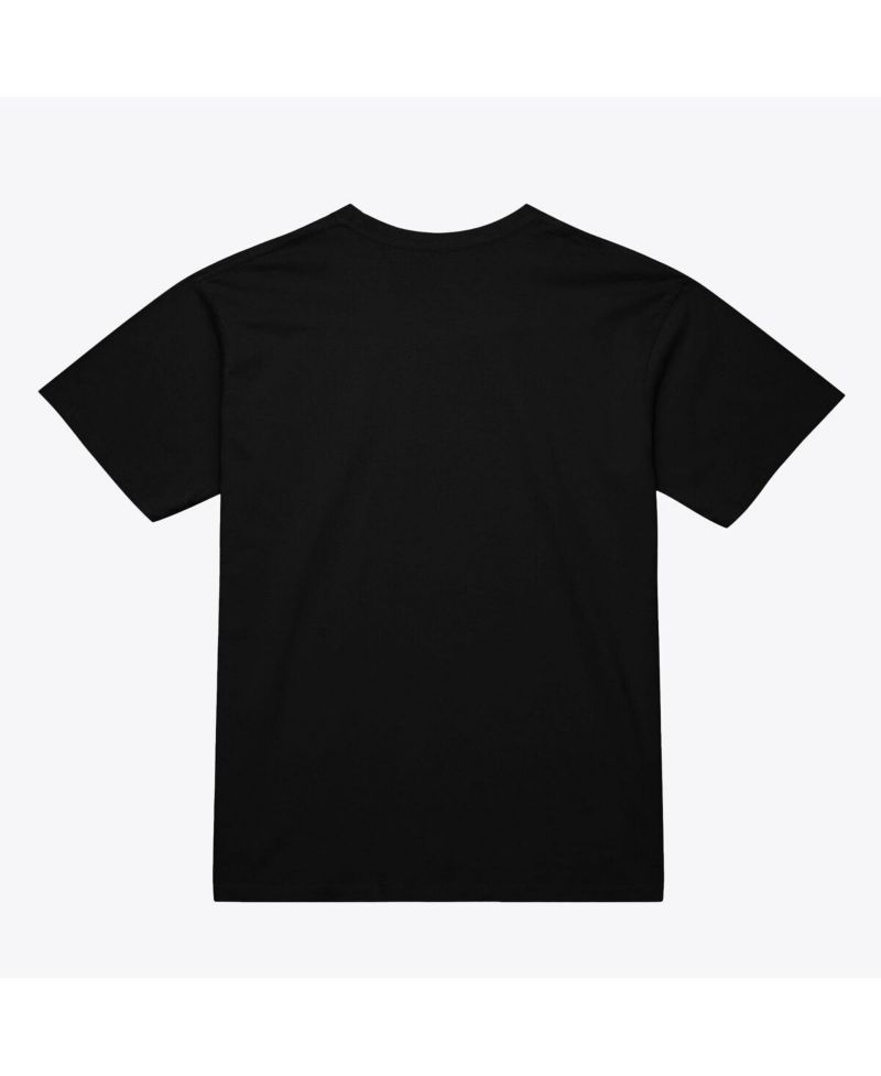 Men's Mike Piazza Black New York Mets Photo Arch Player Graphic T-Shirt