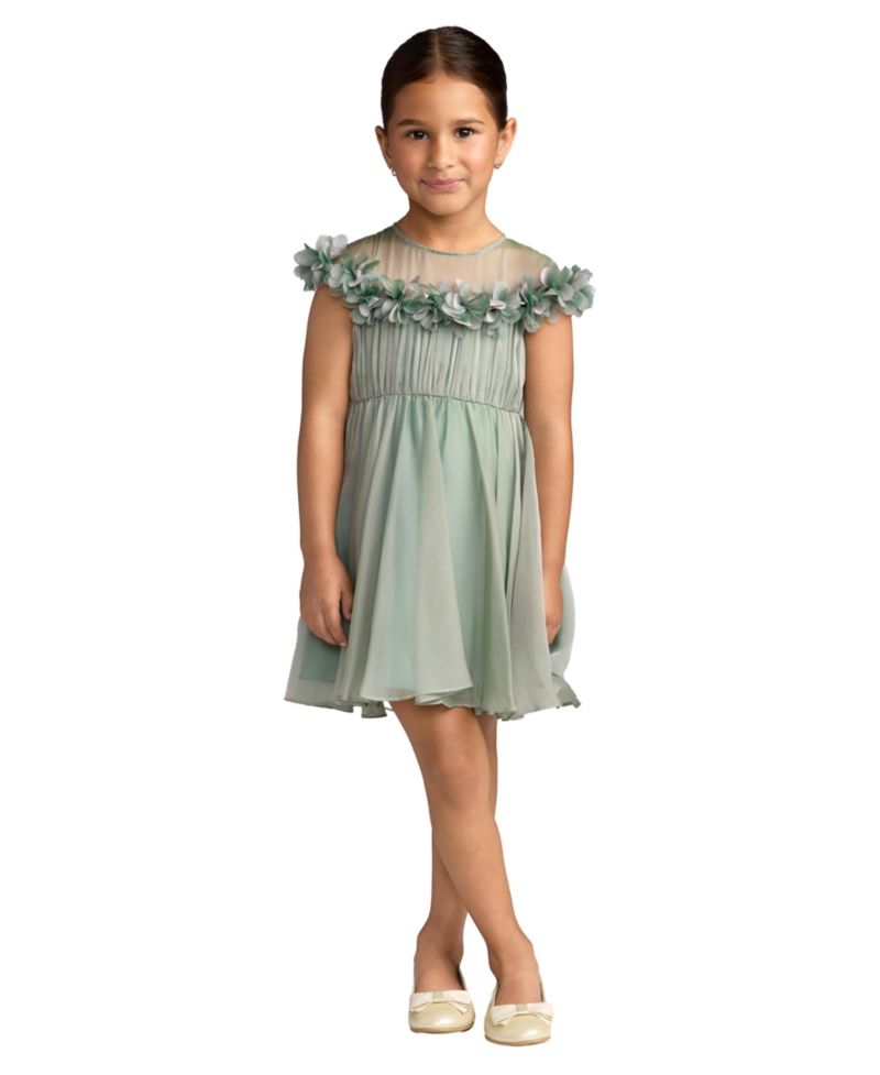 Big Girls Floral Applique Chiffon A-Line Dress