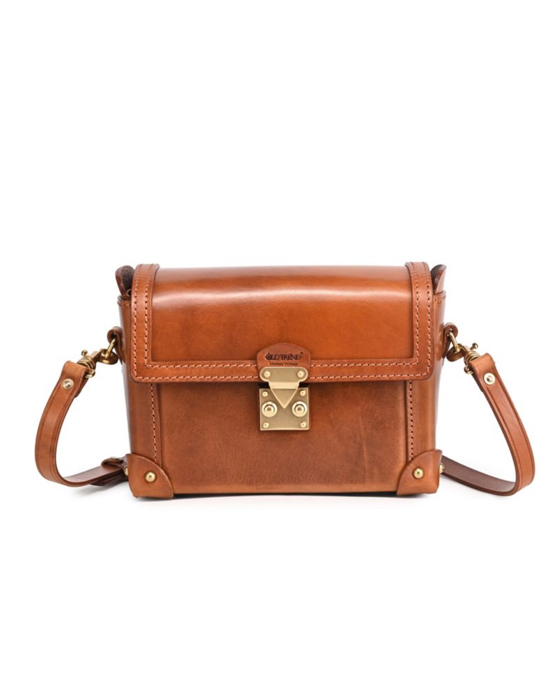 Azalea Vintage Case Crossbody Bag