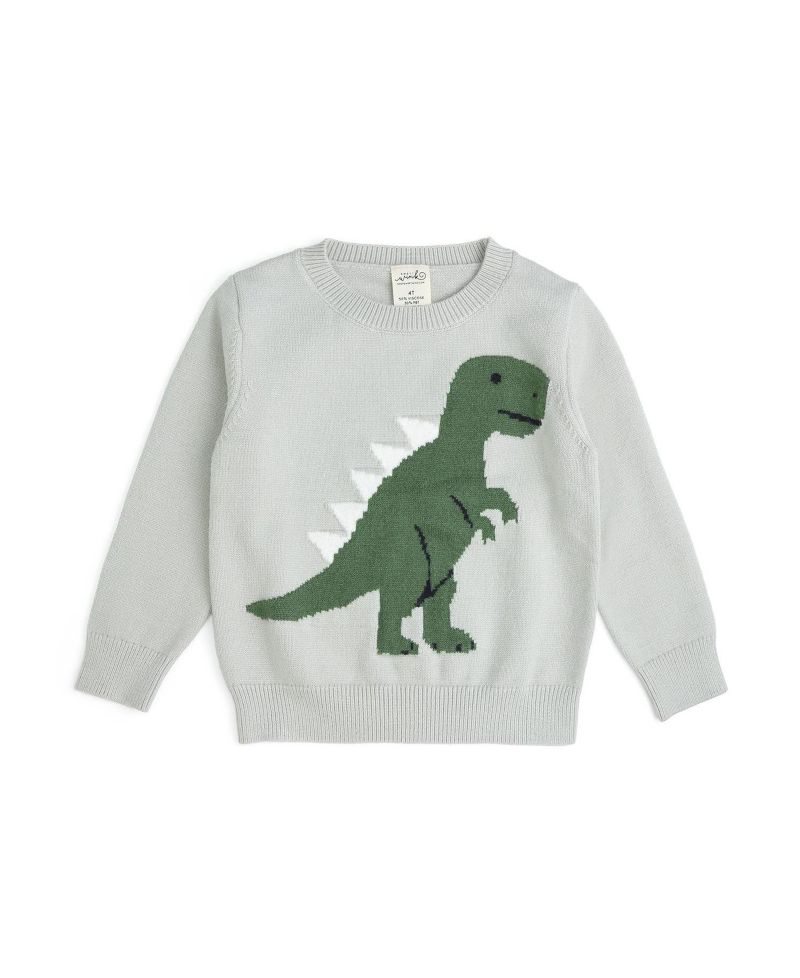 Little Boys Dinosaur Sweater