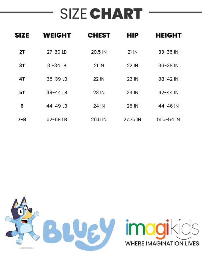 Little Boys Fleece Pullover Hoodie and Pants Outfit Set