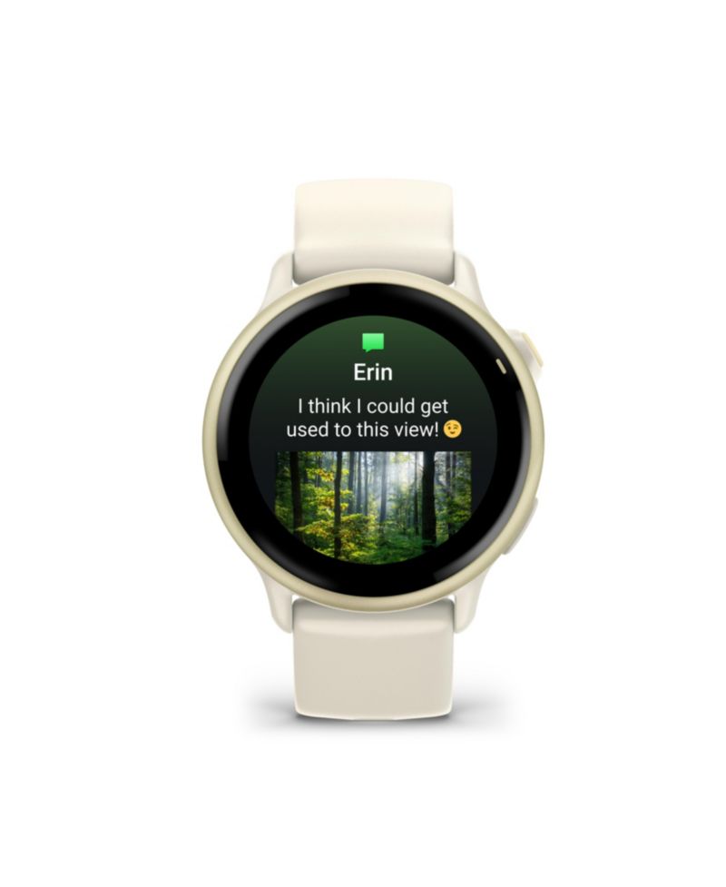 vivoactive 6 Fitness Smartwatch - 42mm