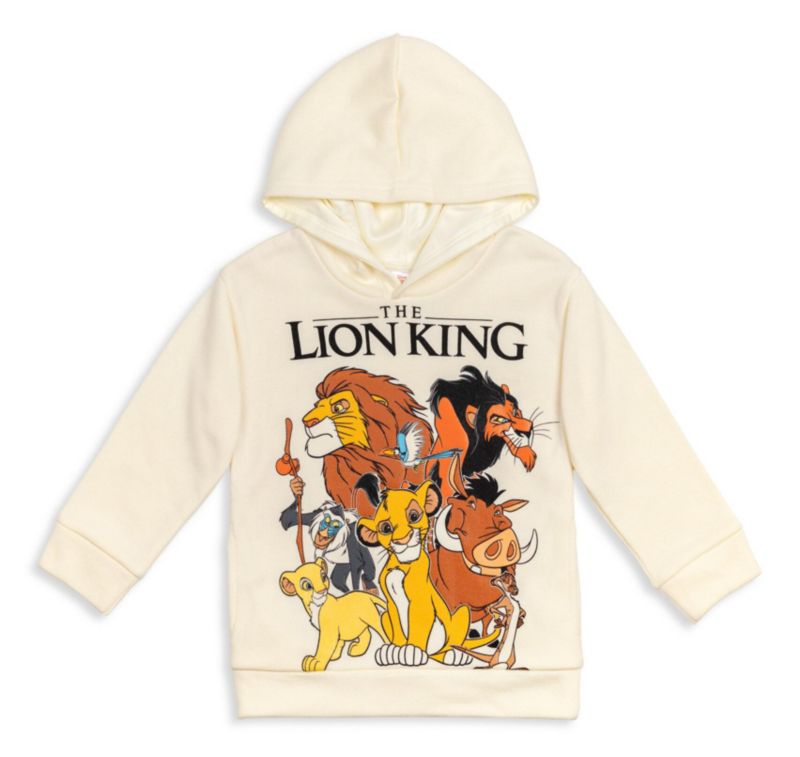 Toddler Boys 2T - 5T Fleece Hoodie and Pants Outfit Set