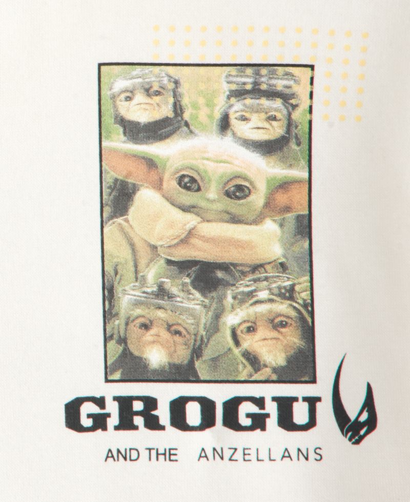 Boys' XS-XL Grogu and The Anzellans Hooded T-Shirt