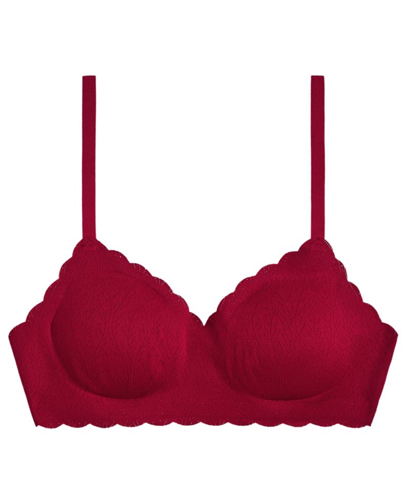 Women's b.wow'd Lace Wireless Bra 952587