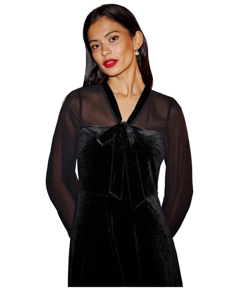 Women's Velvet Sheer Sleeves Skater Dress