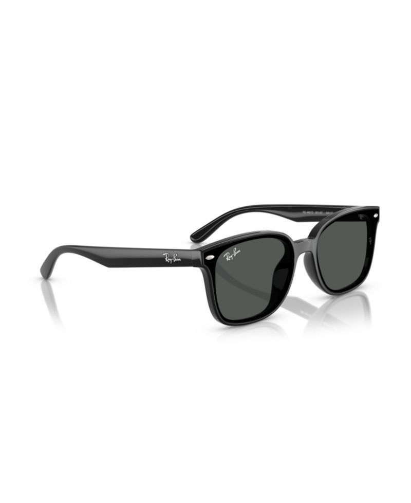 Rectangle Low-Bridge Sunglasses RB4461D