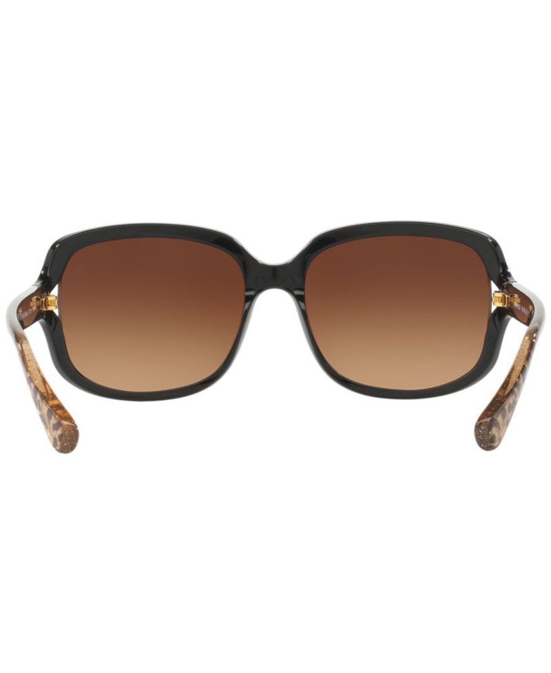 Sunglasses, HC8169