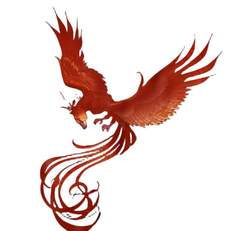 Men's Phoenix Rising T Shirt