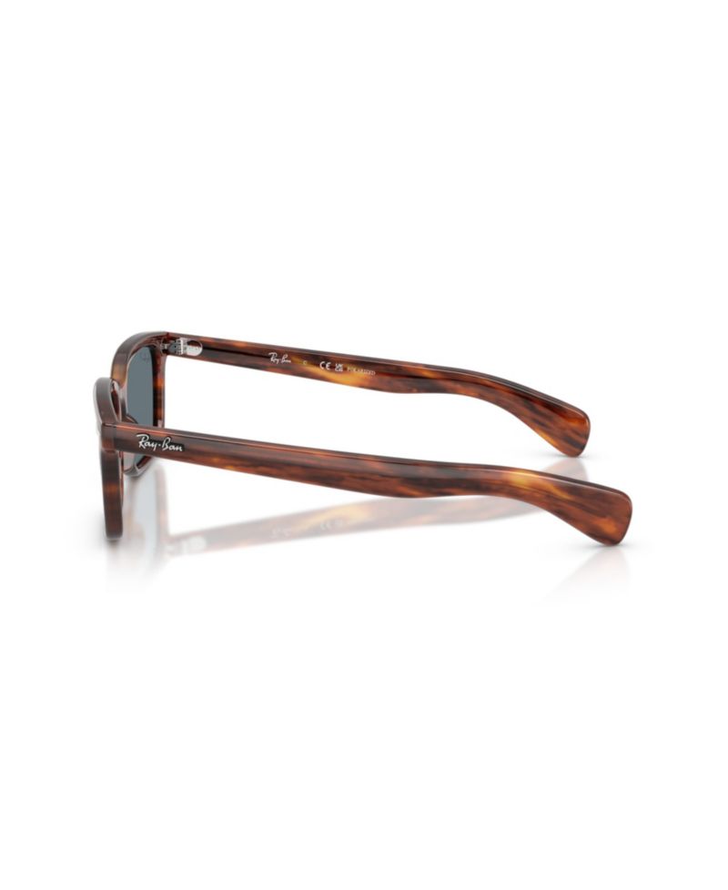 Polarized Tortoise Sunglasses RB2234