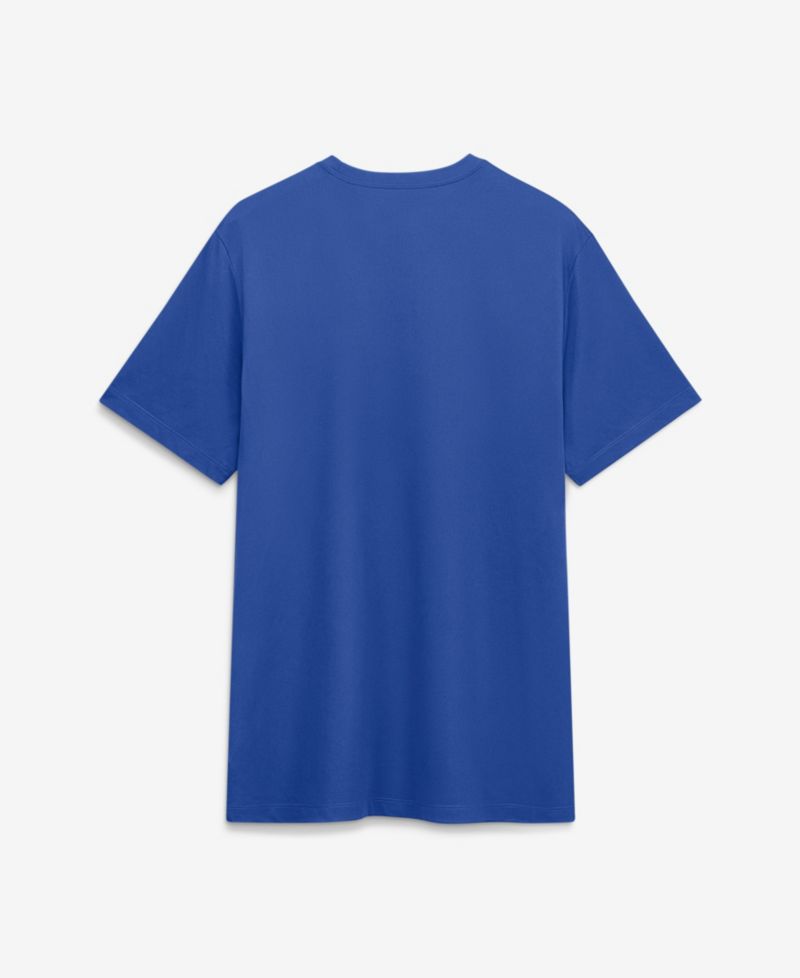Men's Royal Florida Gators Sideline Legend Dri-FIT T-Shirt