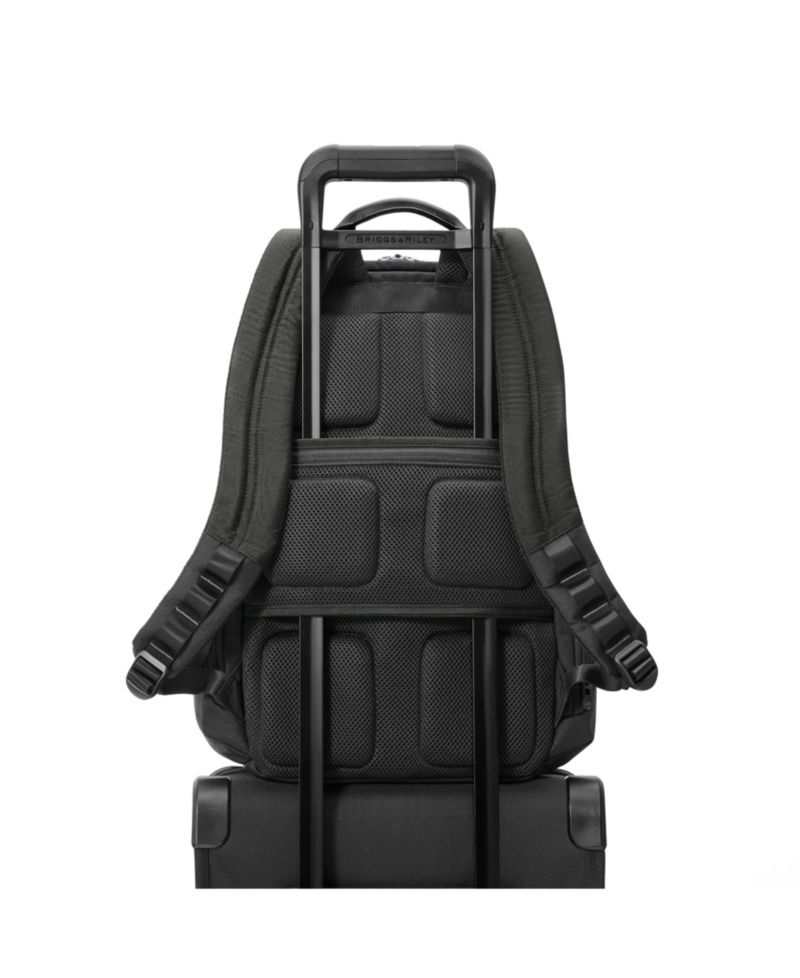 Here, There, Anywhere Large Cargo Backpack