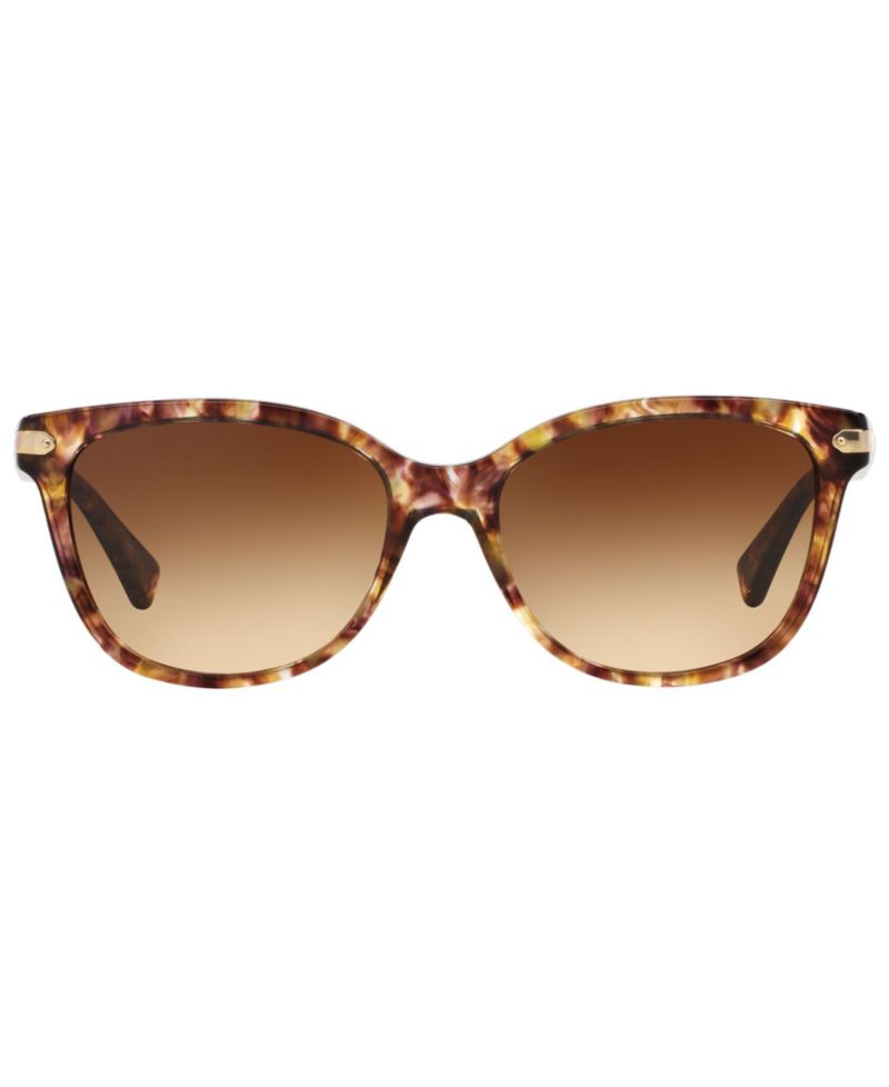 Sunglasses, HC8132
