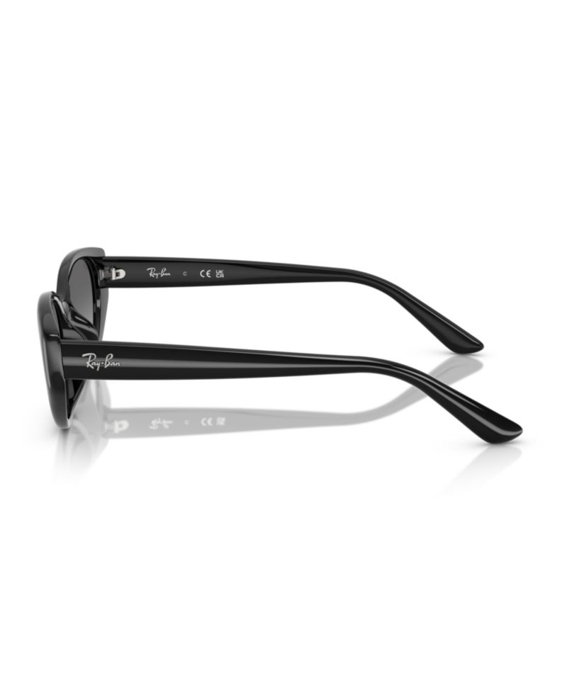 Unisex Large Sunglasses, RB4457D