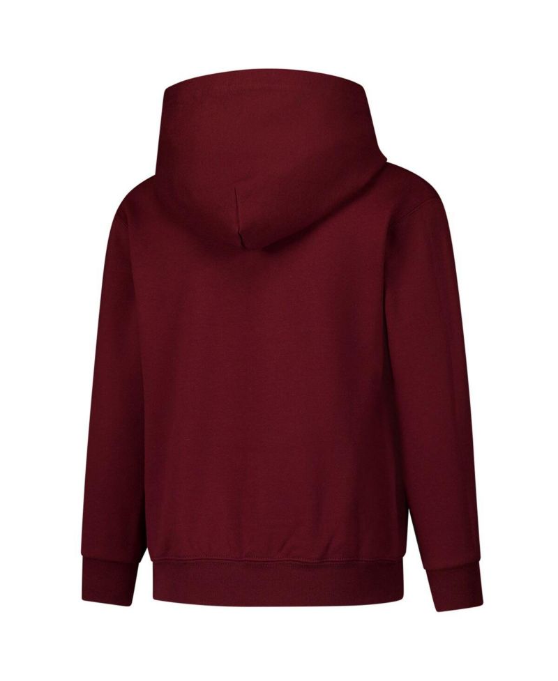 Big Boys and Girls Maroon Texas A&M Aggies Campus Pullover Hoodie
