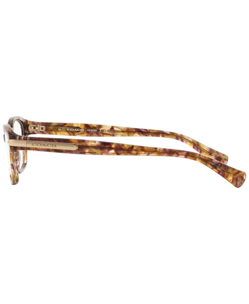 Woman Rectangle Plastic HC6065 Eyeglasses