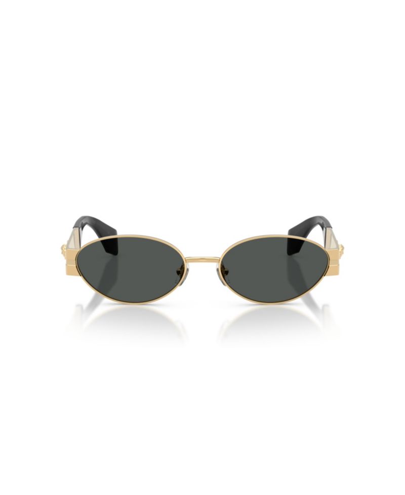 Men's Sunglasses, VE2301