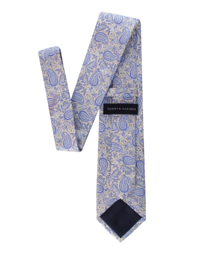 Men's Ramsey Paisley Silk Tie