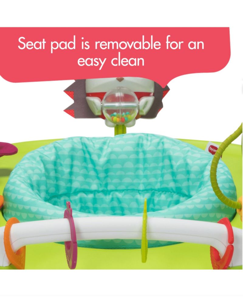 Baby Boys or Baby Girls 4 in 1 Here I Grow Mobile Activity Center