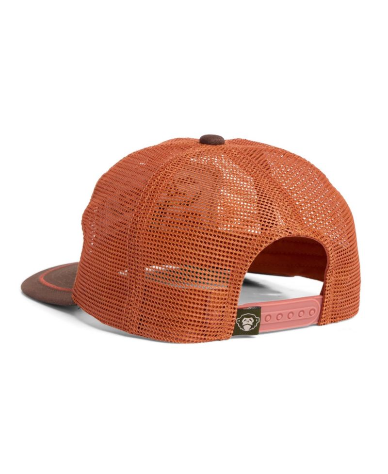 Men's and Women's Texas Orange/Brown Texas Longhorns Country Adjustable Mesh Hat
