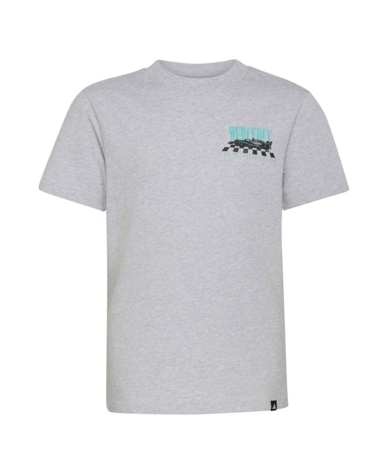 Big Boys and Girls Heather Gray Mercedes-AMG Petronas F1 Team All In Performance Graphic T-Shirt