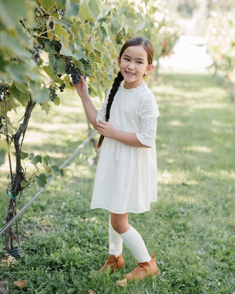 Toddler Girls Hope and Henry Organic Flutter Sleeve Tiered Eyelet Dress