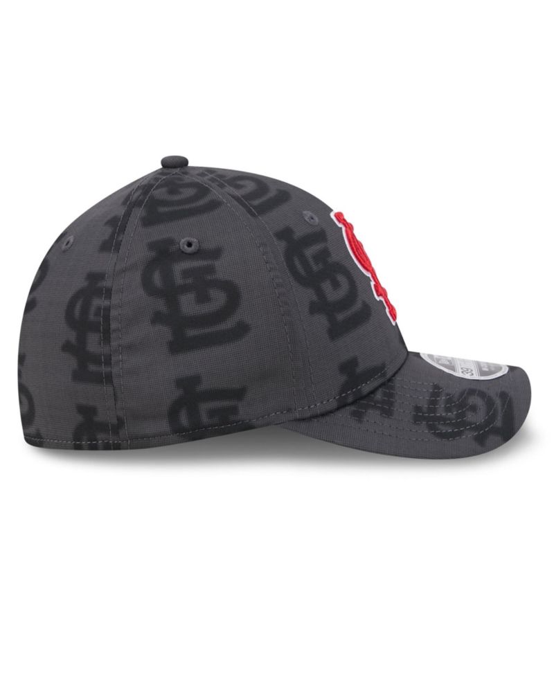 Men's Gray St. Louis Cardinals Halftone 39THIRTY Flex Hat