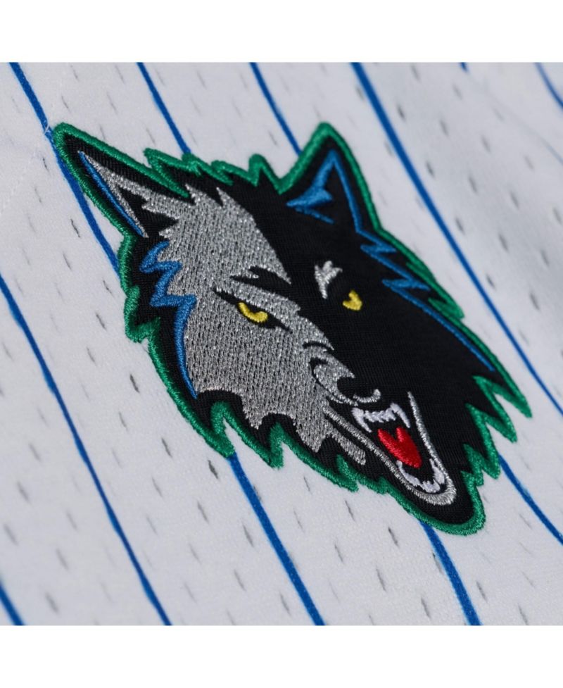 Men's White Minnesota Timberwolves Head Coach Pinstripe Mesh Full-Button Baseball Jersey