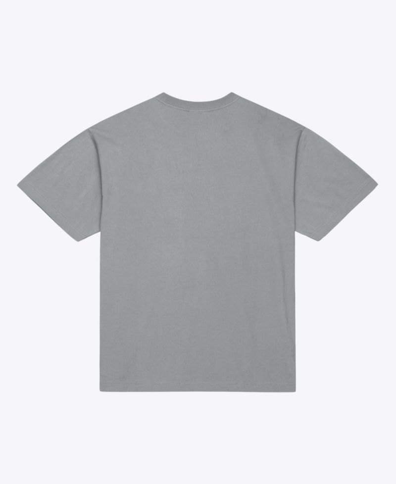 Men's Gray Las Vegas Raiders Core Essentials Micro Logo T-Shirt