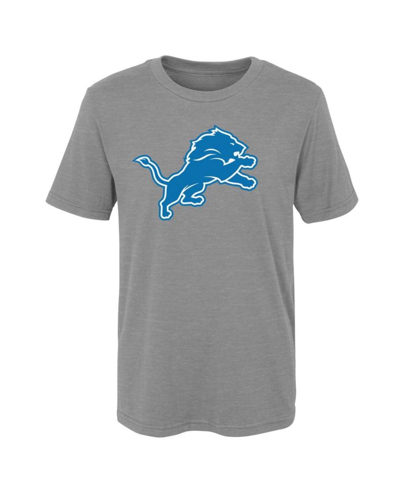 Big Boys and Girls Gray Detroit Lions Primary Logo T-Shirt