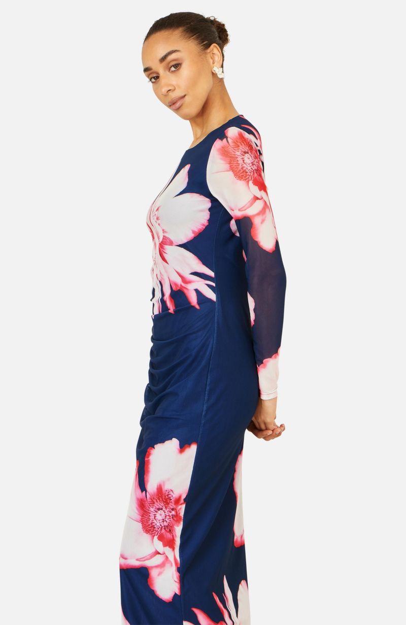 Women's Long Sleeve Mesh Maxi Dress