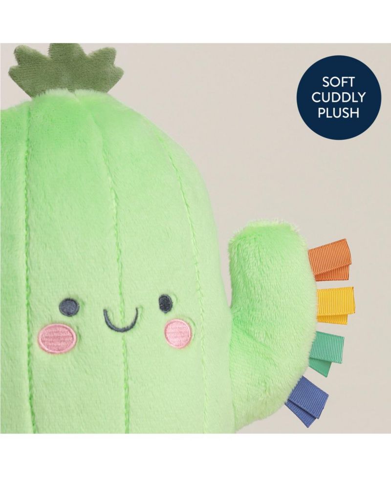 Baby Sweetie Snuggles Cactus
