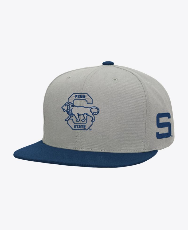 Men's Gray/Navy Penn State Nittany Lions Plaid OG Snapback Hat