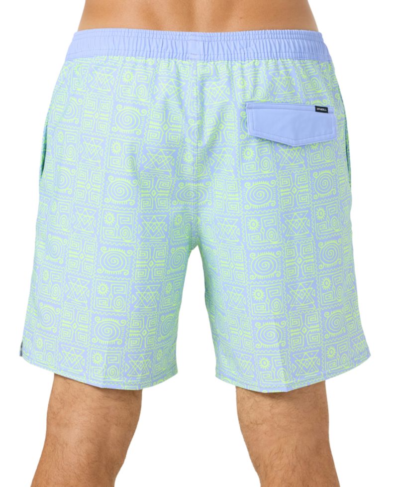 Men's Hermosa Print Swim Trunks