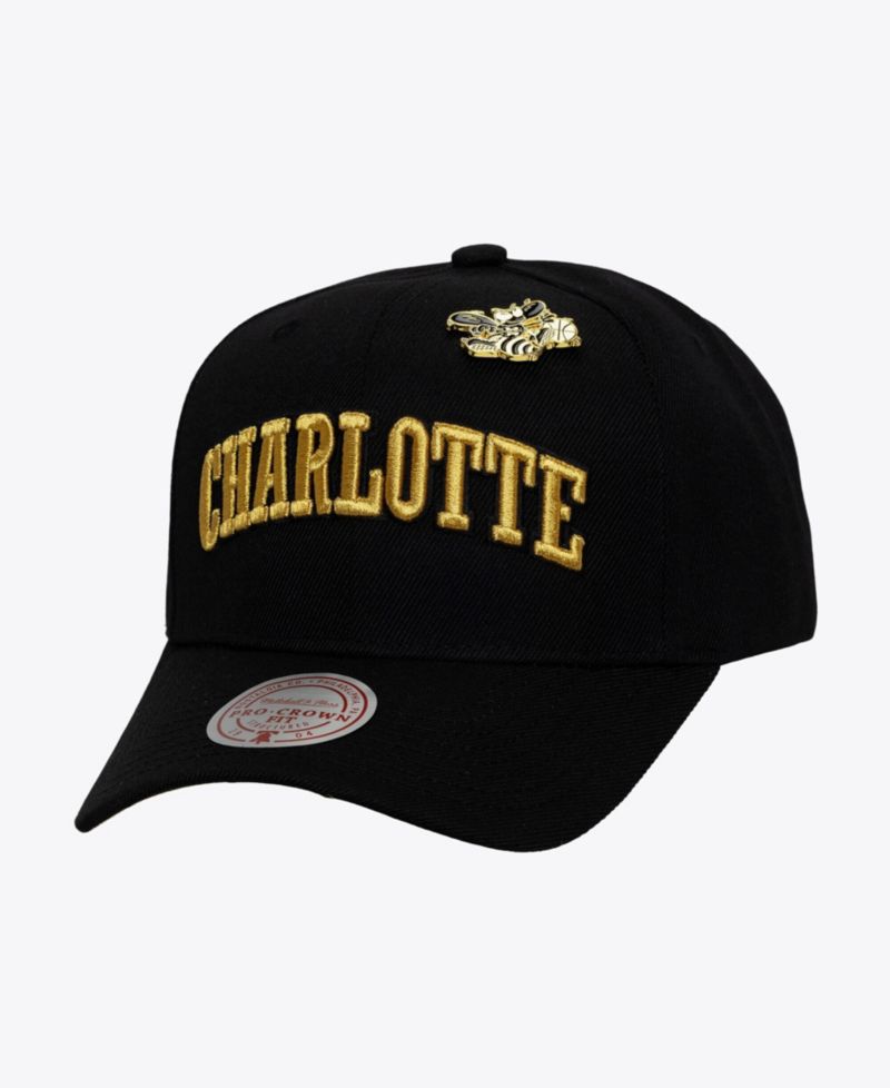 Men's Black Charlotte Hornets Hardwood Classics Pinned Gold Pro Crown Snapback Hat