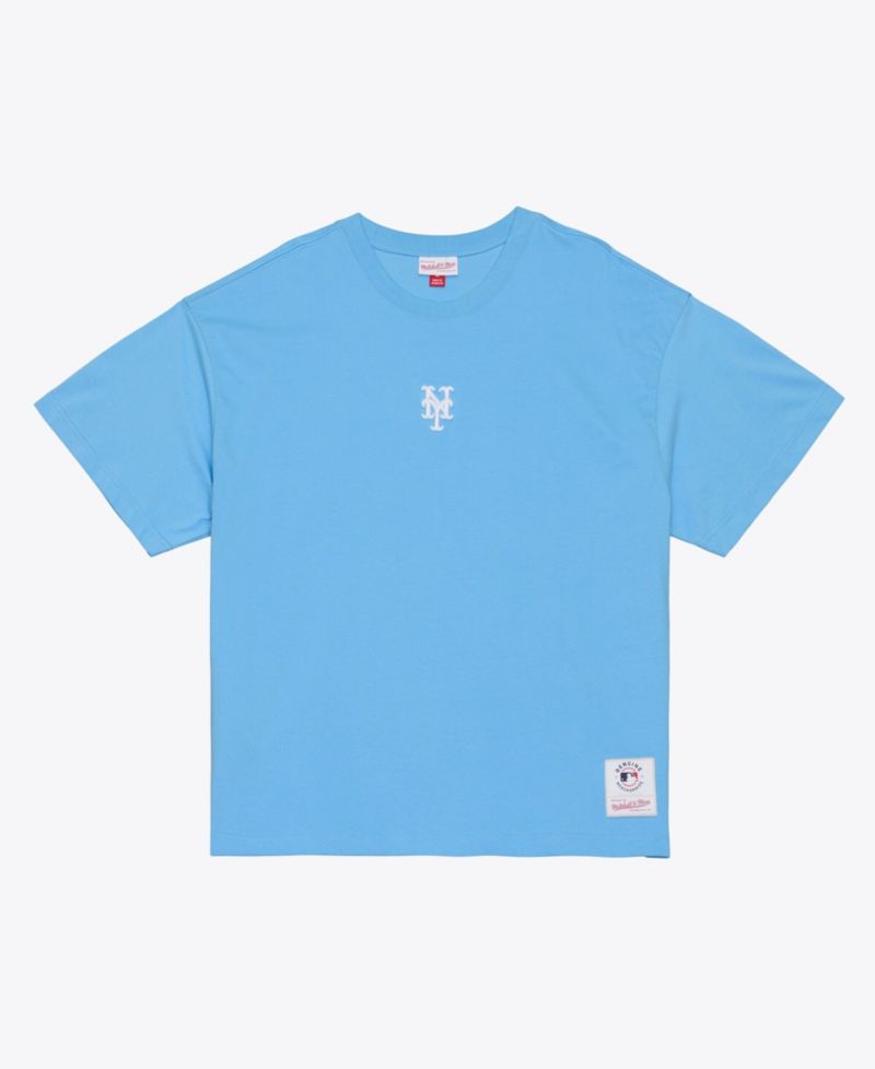 Men's Light Blue New York Mets Insignia Premium T-Shirt