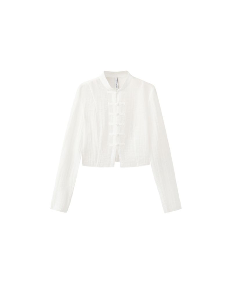 Women's Long Sleeve Mock Neck Sheer Chiffon Blouse