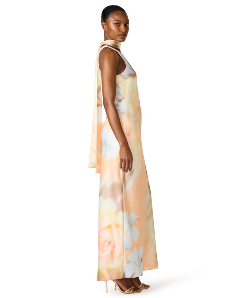 Jaidan Halter Neck Maxi Dress