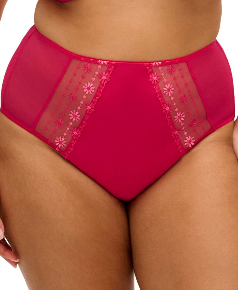 Plus Size Matilda High-Waisted Embroidered Panty
