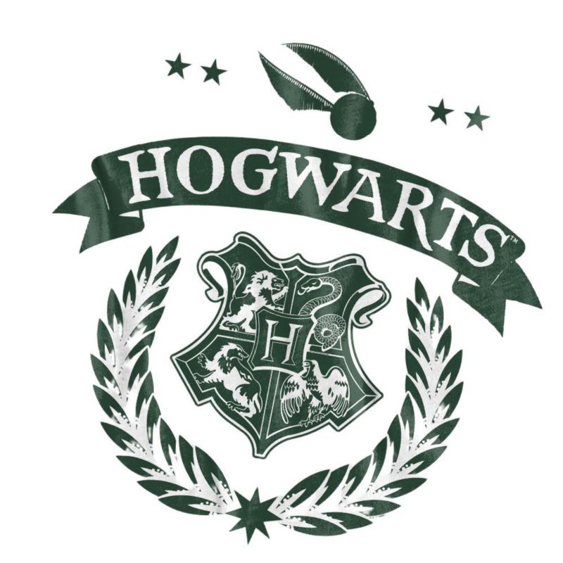 Big & Tall Quidditch School Test T Shirt