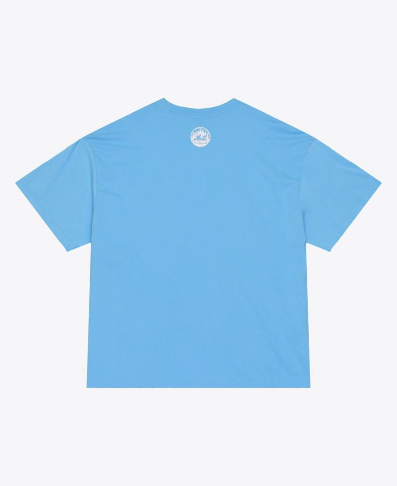 Men's Light Blue New York Mets Insignia Premium T-Shirt