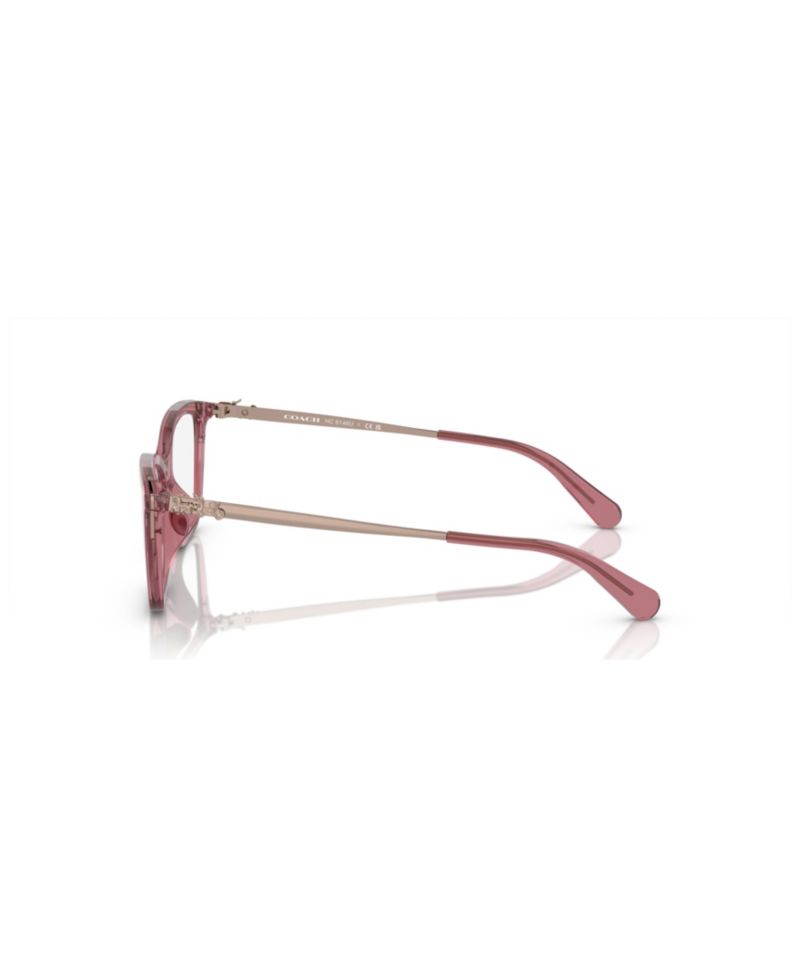 Woman Cat Eye Plastic HC6146U Eyeglasses