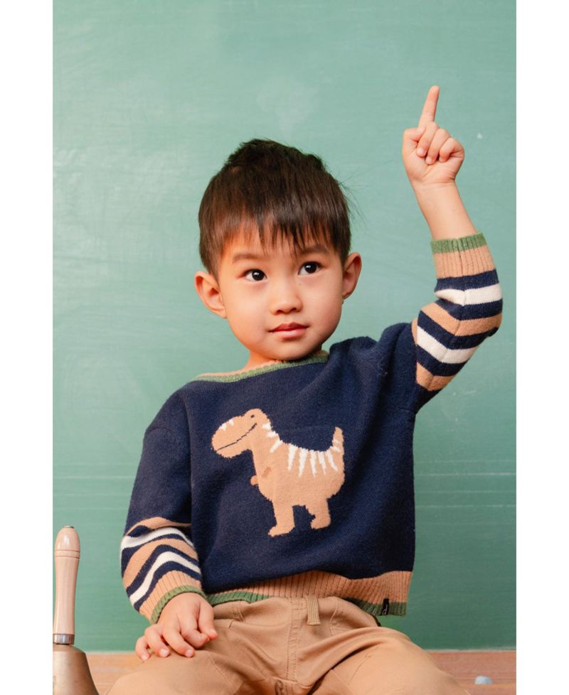 Little and Big Boy (6Y - 8Y) Knit Sweater
