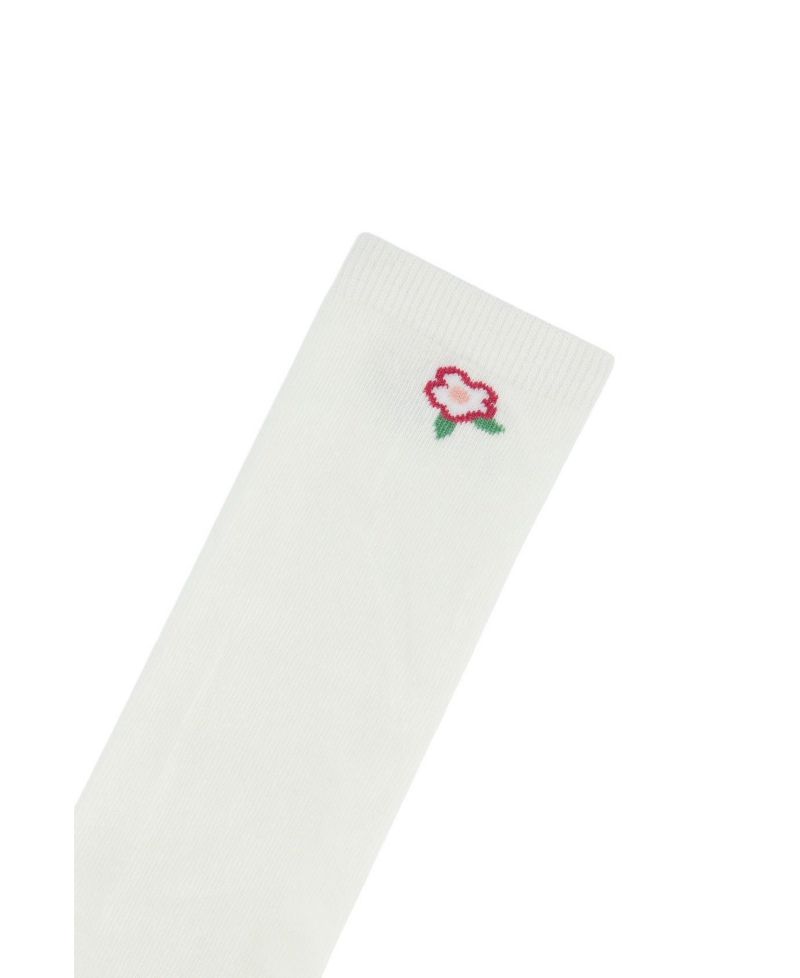 Little and Big Girl ( 5-6 , 10-12 ) Socks