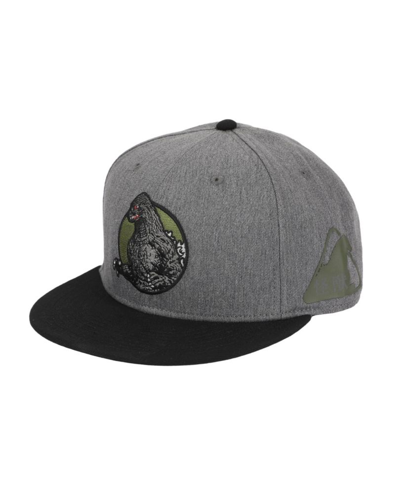 Men's Embroidery Cotton Twill B15 Snap Back Snapback
