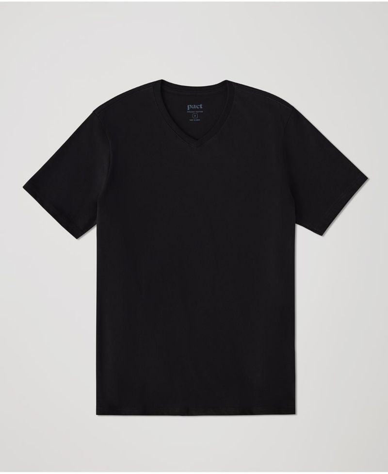 Men's Organic Cotton Softspun V-Neck Tee