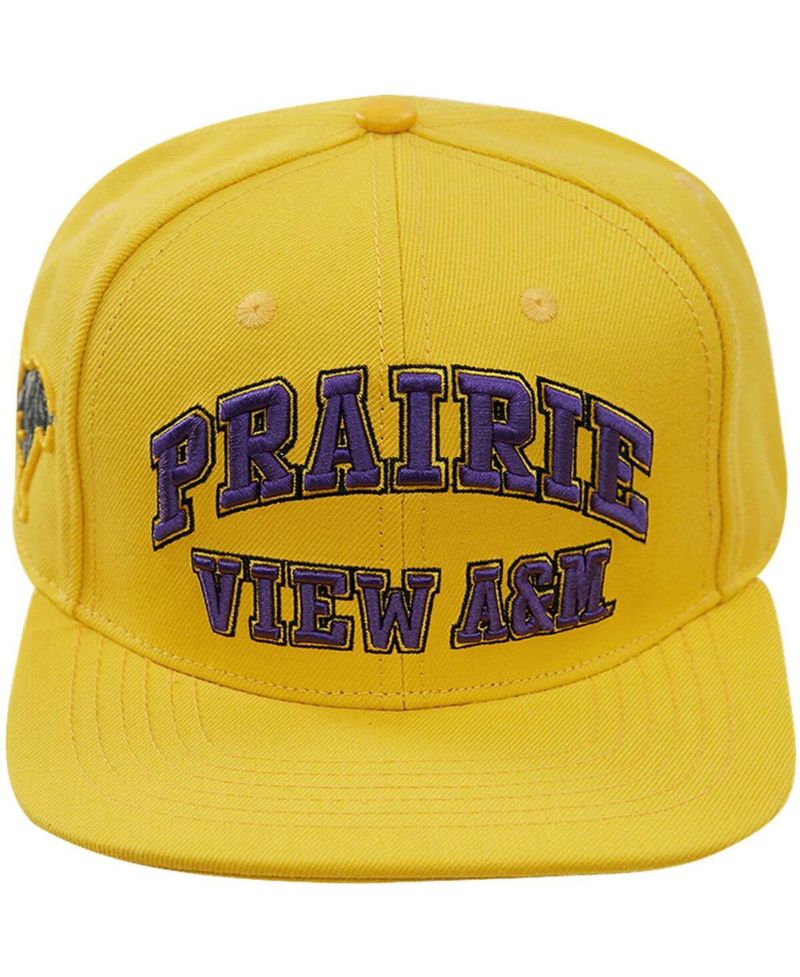 Men's Gold Prairie View A&M Panthers Evergreen Prairie View Snapback Hat