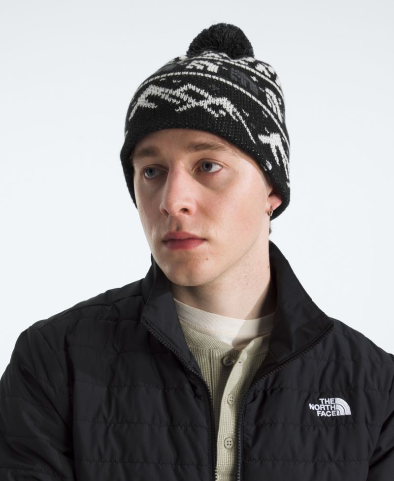Knit Pom Beanie