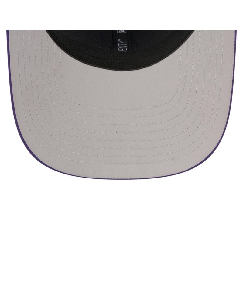 Men's Purple Minnesota Vikings Micro Badge 9SEVENTY Adjustable Hat